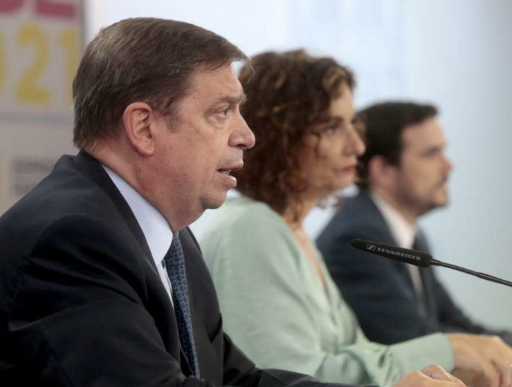 consejo ministros ley de la cadena