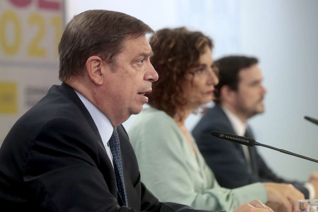 consejo ministros ley de la cadena