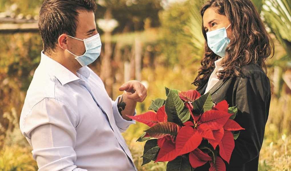Campaña flores y plantas ministerio