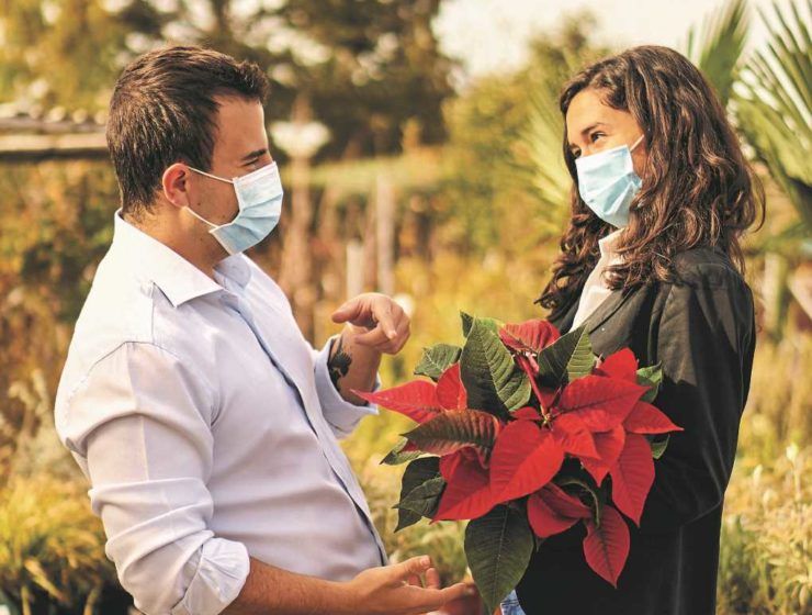 Campaña flores y plantas ministerio