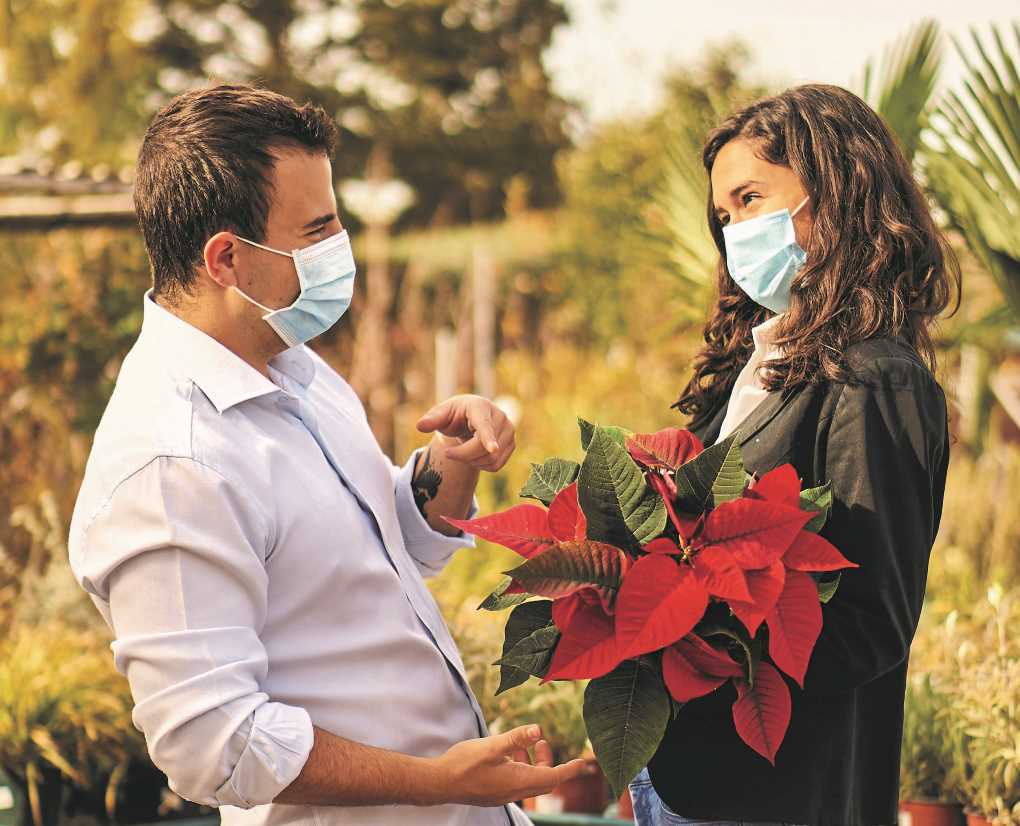 Campaña flores y plantas ministerio