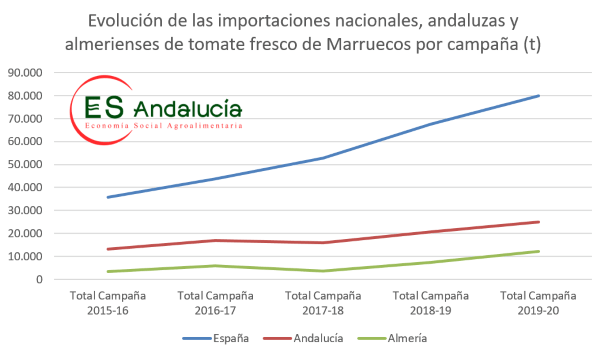grafica tomate