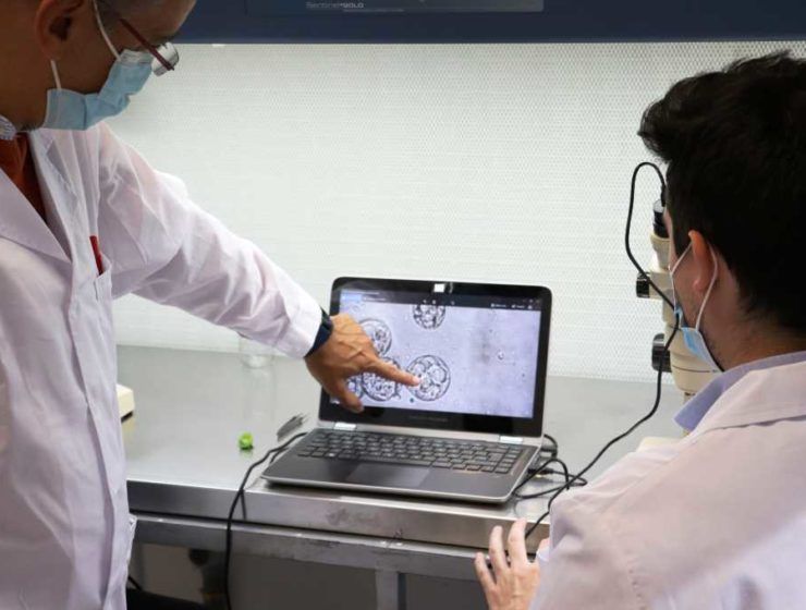 investigadores beyond seeds