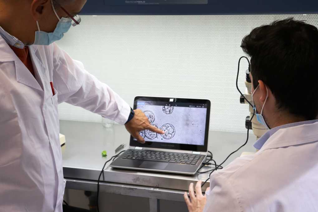 investigadores beyond seeds
