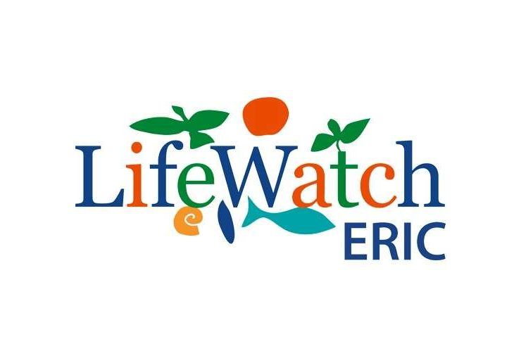 lifeWatch logo