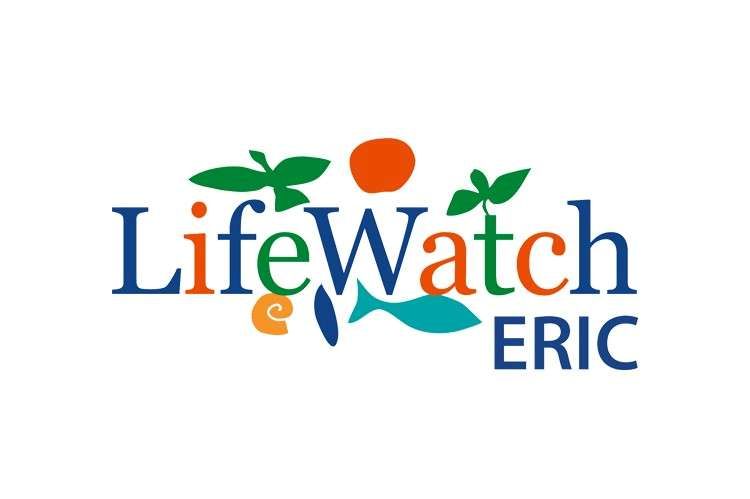 lifeWatch logo