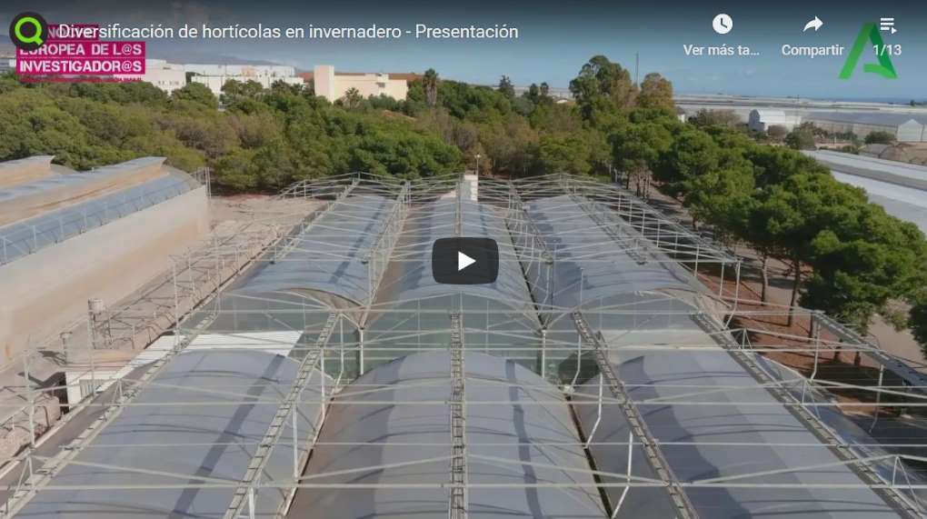 taller 3 noche de investigadores