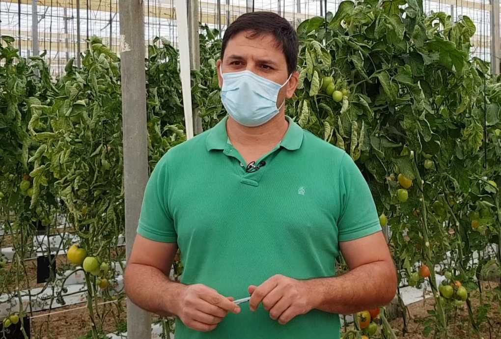 EMILIO CASTILLO agricultor