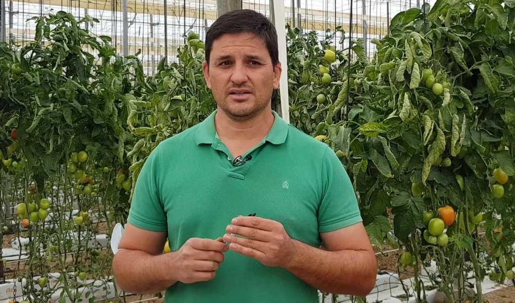 EMILIO CASTILLO agricultor