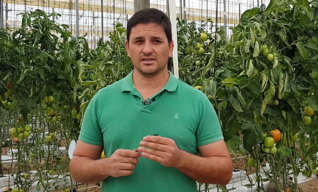 EMILIO CASTILLO agricultor