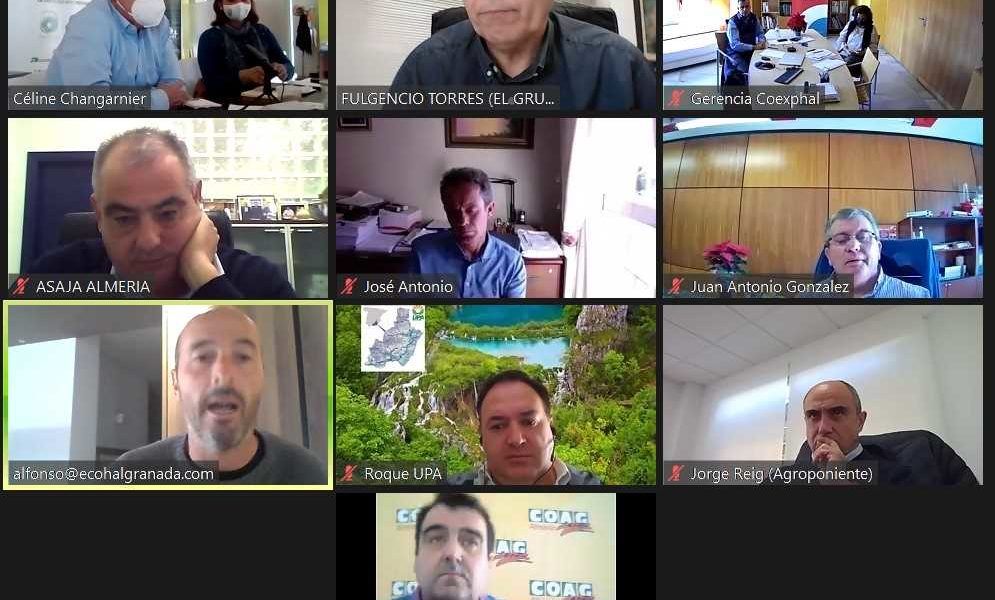 JUNTA DIRECTIVA HORTYFRUTA ok
