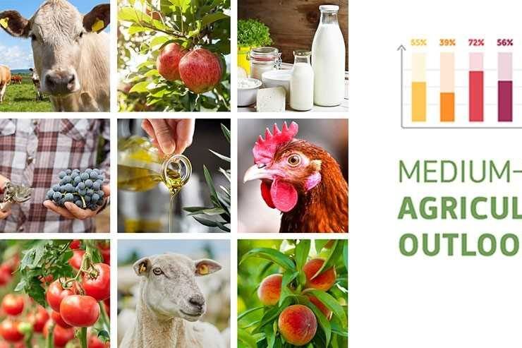 Perspectivas Agricultura