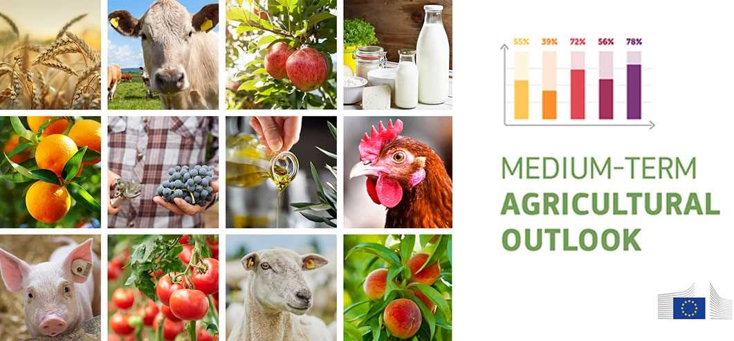 Perspectivas Agricultura