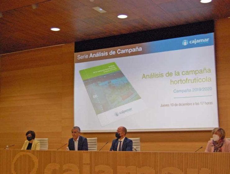 Informe campaña cajamar
