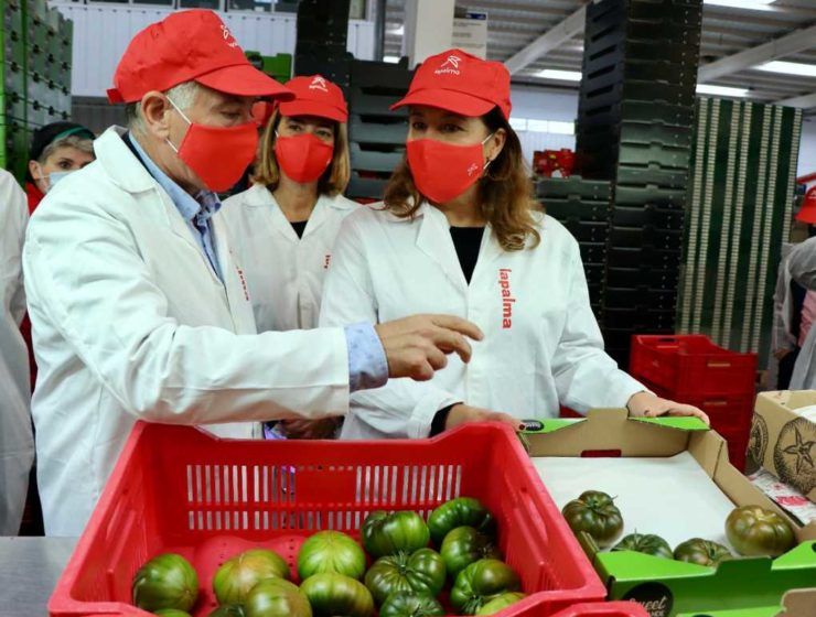 Visita consejera a Granada La Palma home