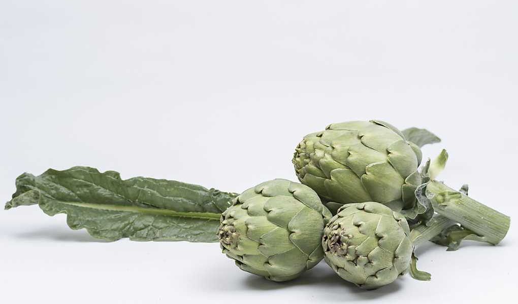 alcachofa basf