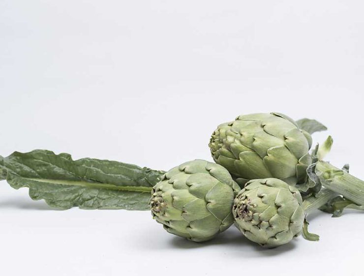 alcachofa basf