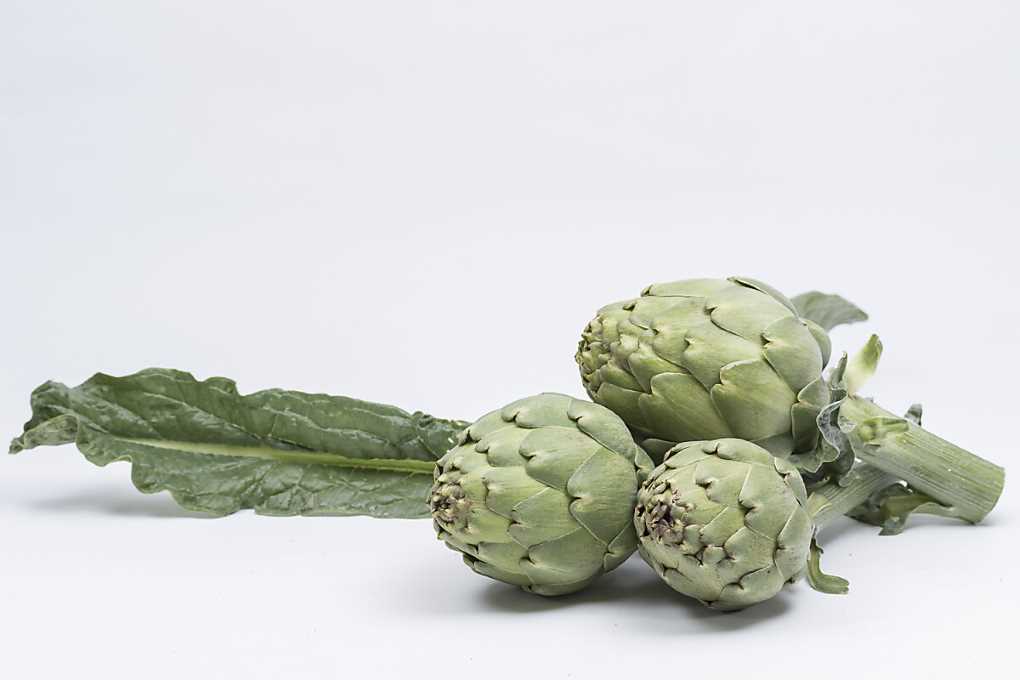 alcachofa basf