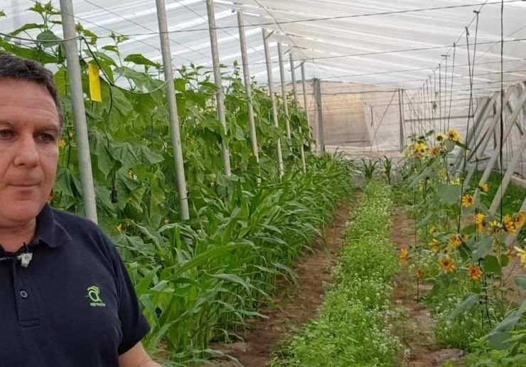biodiversidad