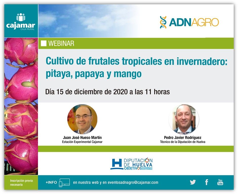 webinar cultivos tropicales