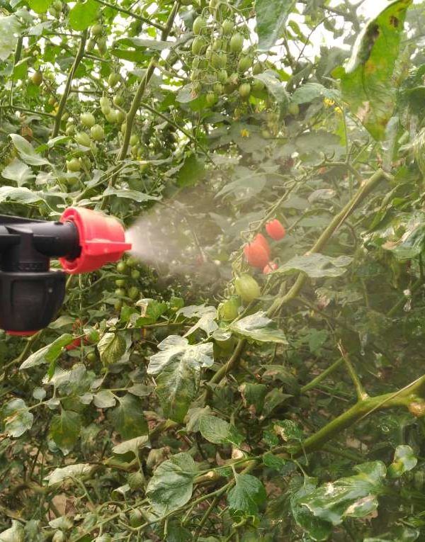 robot difusor fitosanitarios