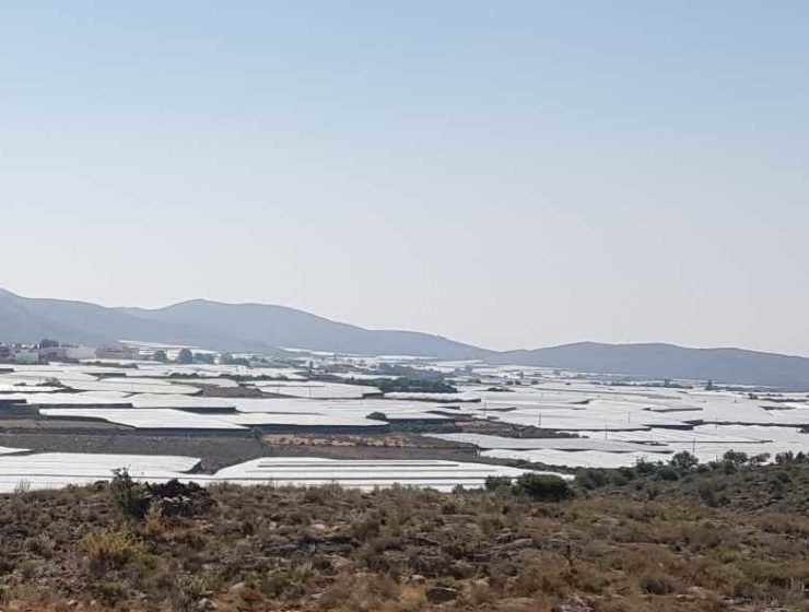 invernaderos