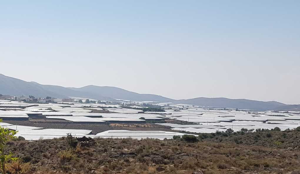 invernaderos