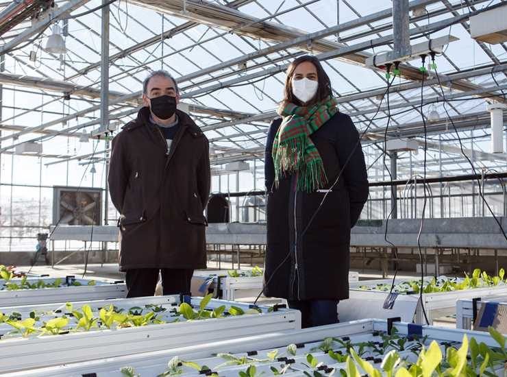 Proyectos plantas saludables Universidad Pública de Navarra