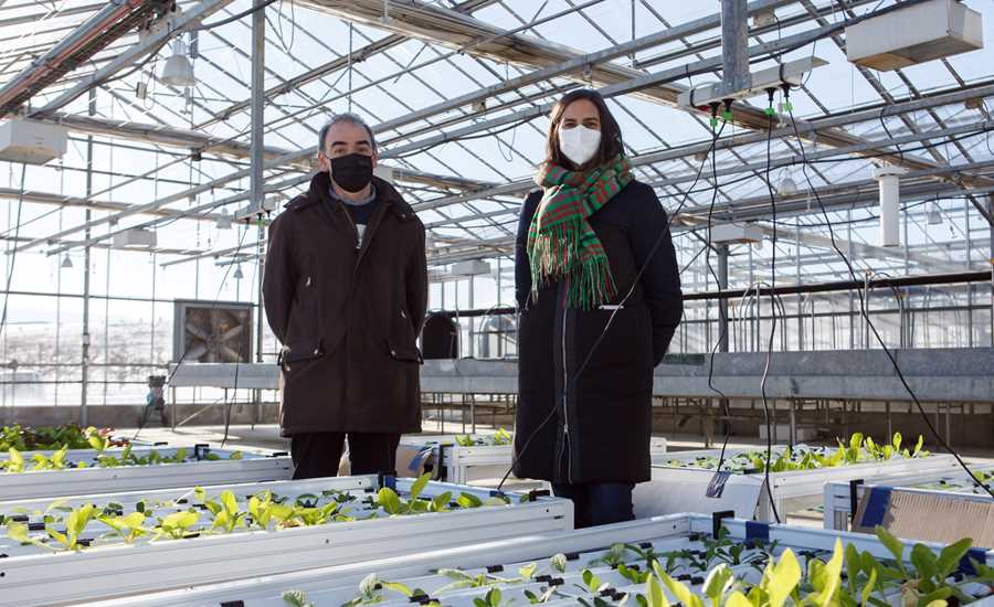 Proyectos plantas saludables Universidad Pública de Navarra