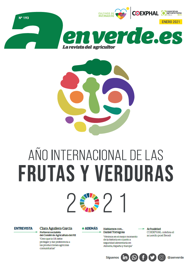 A EN VERDE 193