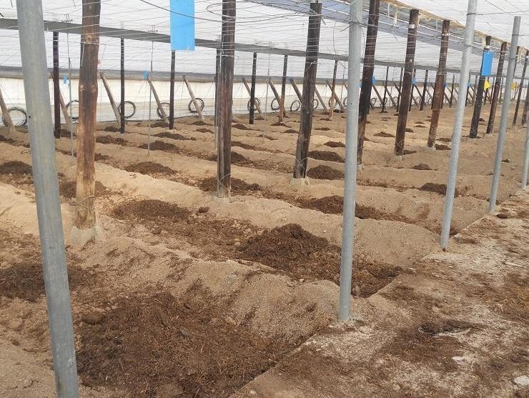 proyecto best4soil