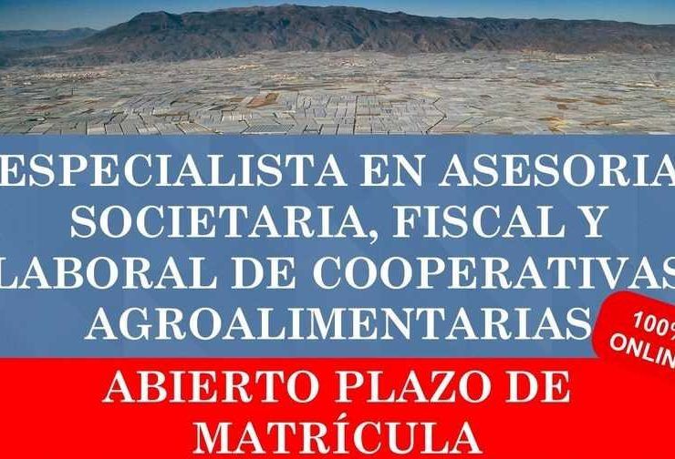 master cooperativas