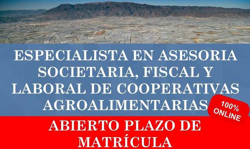 master cooperativas