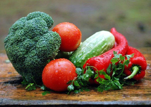 sector agroalimentario