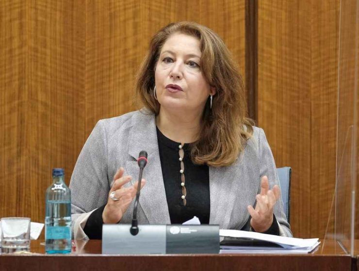 Crespo comisión Parlamento