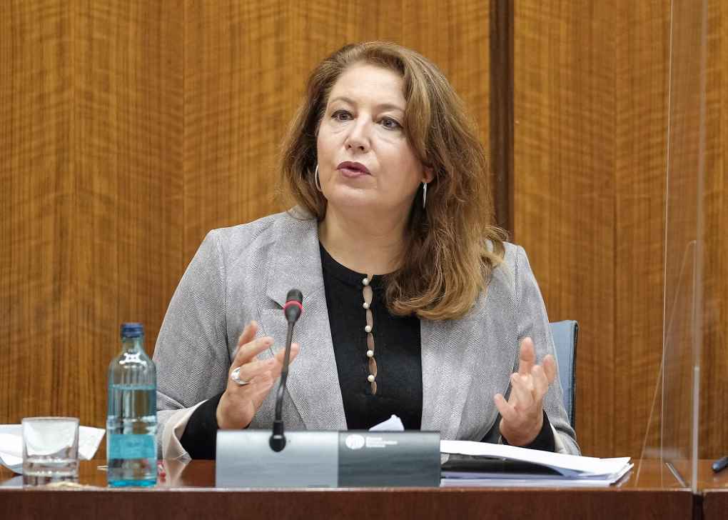 Crespo comisión Parlamento