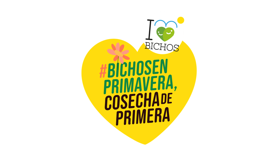 BICHOS PRIMAVERA 2021