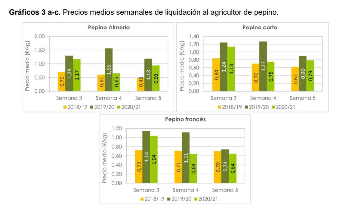 Precios pepino semana 5