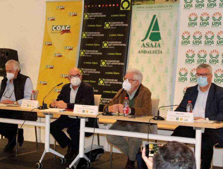 rueda Sector agrario