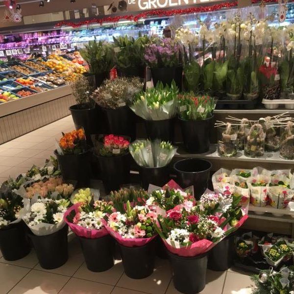 mercado flor y planta