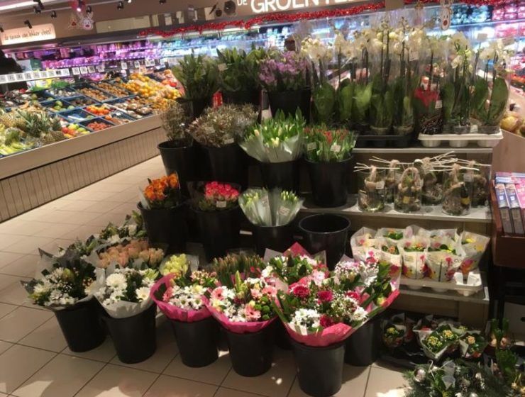 mercado flor y planta