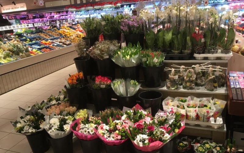 mercado flor y planta