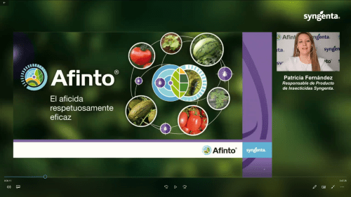 Webinar Afinto