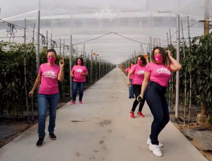 challenge Jerusalema invernaderos