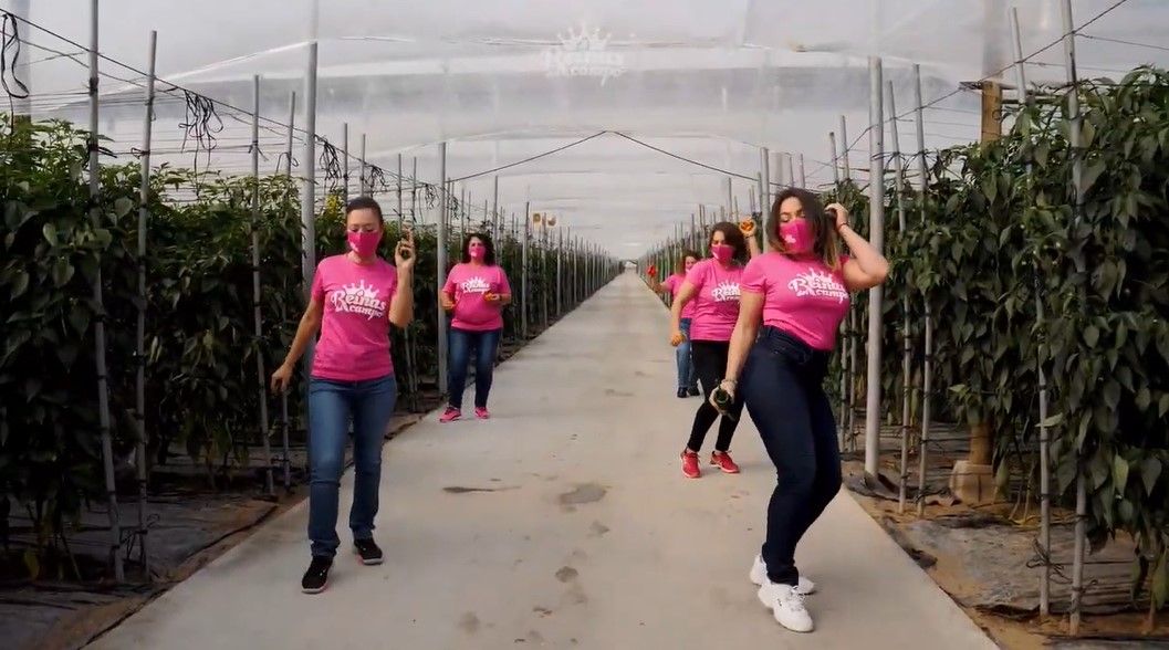 challenge Jerusalema invernaderos