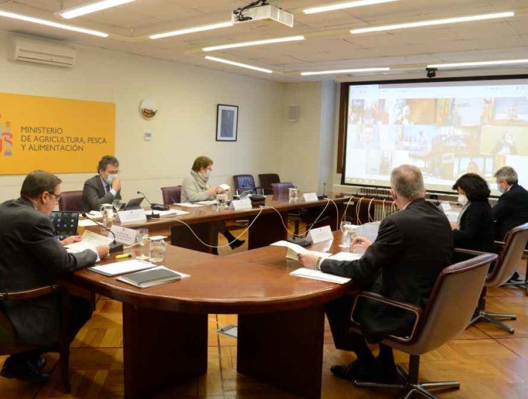 conferencia sectorial cadena