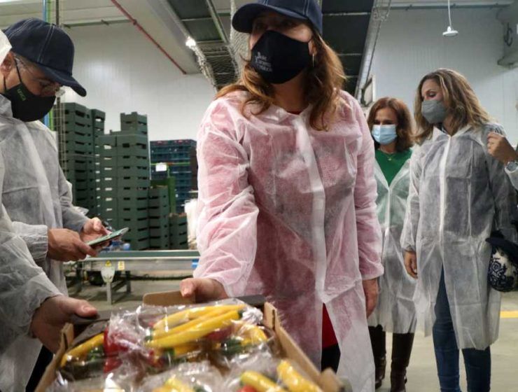 consejera de Agricultura en Cabasc