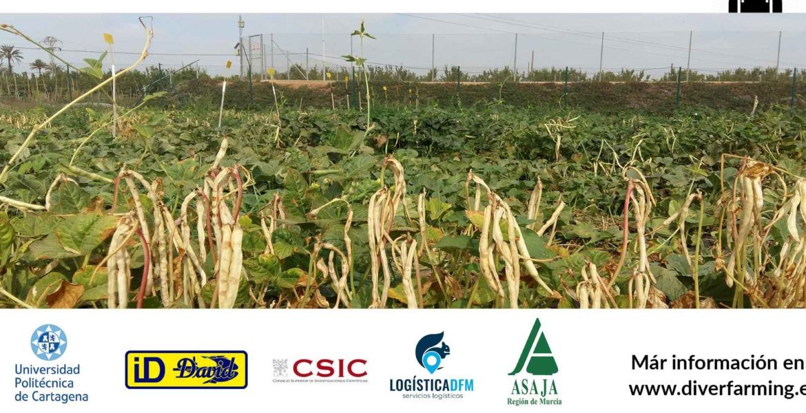 diverfarming