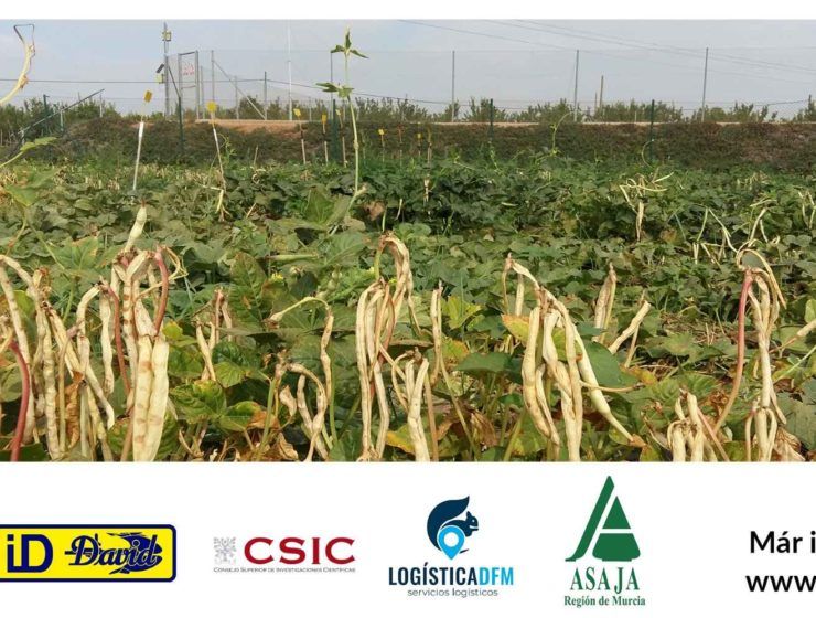 diverfarming