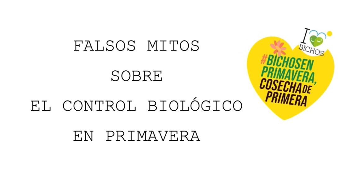 falsos mitos bichos imagen